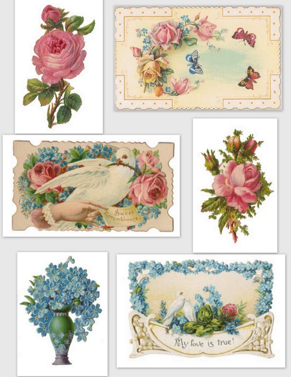 Images anciennes fleurs